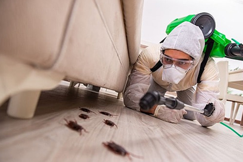 Pest Control Services